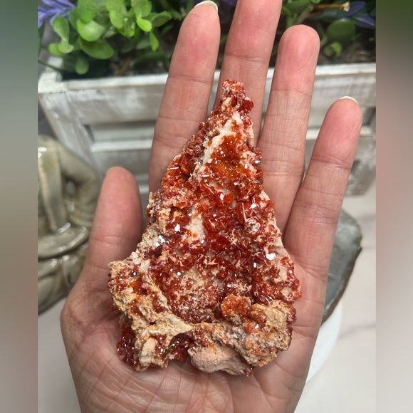 Stunning Vanadanite Specimen- Morocco 🇲🇦 - Picture 3 of 9